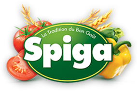 Partner xspiga-logo.png.pagespeed.ic_.ul3tYWy3hd